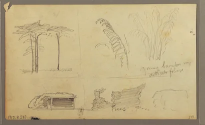 Dibujo, Vistas de la ribera oriental del río Guayas, frente a Guayaquil, Ecuador, mayo de 1857