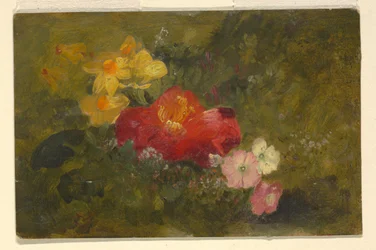 Dibujo, Flores silvestres, Jamaica, 1865