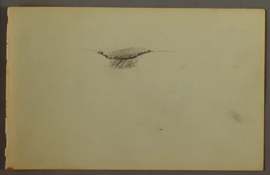 Dibujo, Inmersión boscosa al atardecer, posiblemente 1844