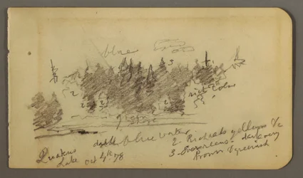 Dibujo, Orilla arbolada, 1878