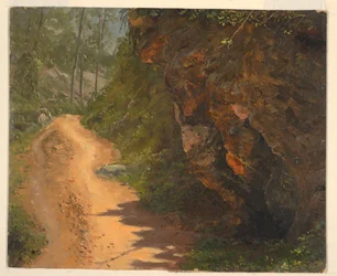 Dibujo, Woodland Path, Jamaica, junio de 1865