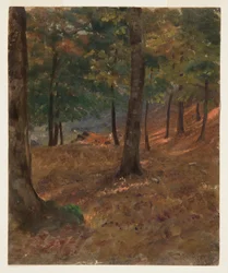 Dibujo, Escena de bosque, 1870-80