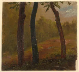 Dibujo, Escena de bosque, Jamaica, 1865