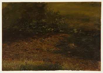 Dibujo, Arroyo del bosque en las Catskills, septiembre de 1848