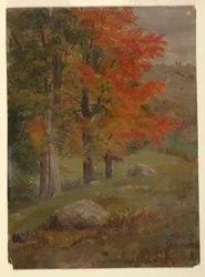Dibujo, Bosques en otoño, 1865