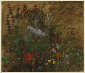 Flores en Jamaica
