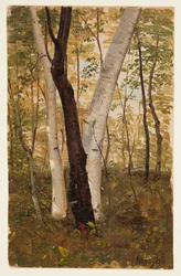 En el bosque, Hudson, Nueva York