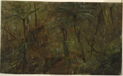 En el bosque, Jamaica