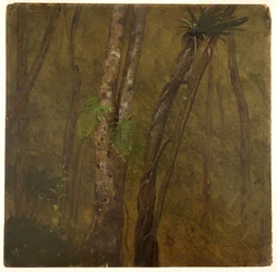 Paisaje en Jamaica
