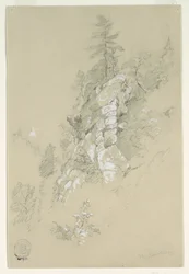 Ladera rocosa, Carolina del Norte