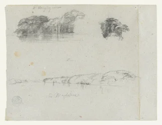 Bosquejos de árboles, enredaderas y una ribera del río Magdalena, Colombia