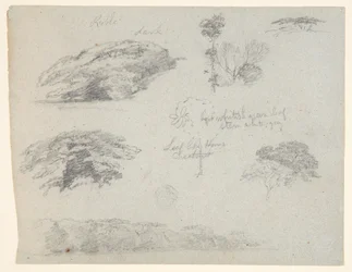 Árboles, copas de árboles y un banco boscoso, Saddleback, Maine