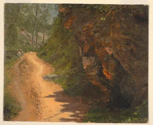 Camino forestal, Jamaica
