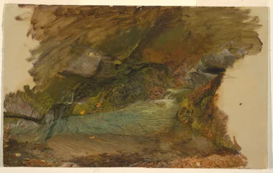 Arroyo en el bosque