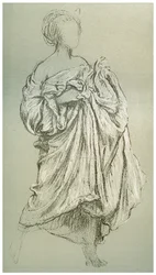 Estudio de Daphnephoria