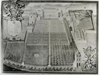 El jardín de plantas medicinales del rey, 1636