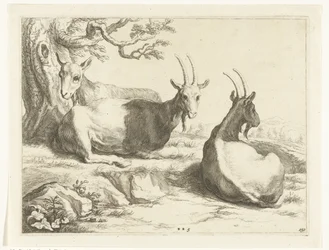 cabras Cuaderno de dibujo de Abraham Bloemaert (título de la serie)