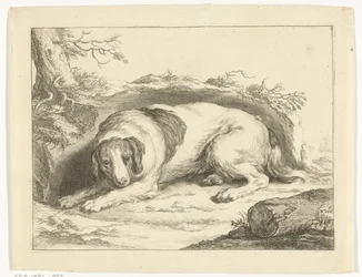 spaniel Cuaderno de dibujo de Abraham Bloemaert (título de la serie)