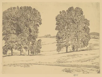 Nogales en un Campo de Heno, 1917