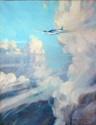 Vuelo