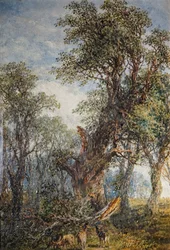 La rama rota, 1881