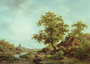 Paisaje boscoso