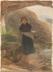 El recolector de mejillones