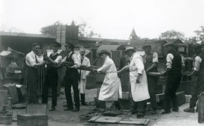 Una pitón de 20 pies de largo siendo llevada por once miembros del personal de la Sociedad Zoológica, Zoológico de Londres, junio de 1925