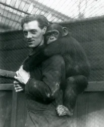 Un hombre lleva a la chimpancé Sally en su espalda, Zoológico de Londres, 1924