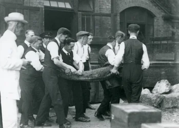 Un equipo de hombres lleva un caimán bajo la supervisión de Sir Peter Chalmers Mitchell, zoológico de Londres, 1924