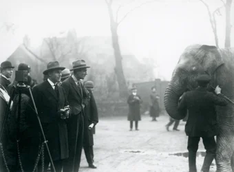 Un elefante indio, posiblemente Sundermalah, participando en una transmisión exterior desde el Zoológico de Londres, 1925