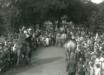 Paseos en Elefante, con tres elefantes asiáticos observados por multitudes de espectadores en el Zoológico de Londres en agosto de 1926