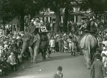 Paseos en Elefante, con dos elefantes asiáticos observados por multitudes de espectadores en el Zoológico de Londres en agosto de 1926