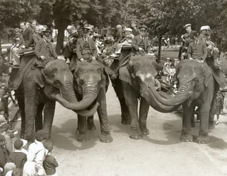 Paseos en elefante en el Zoológico de Londres, julio de 1936