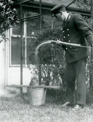 El Guardián Thomas Raggett Dando una Ducha a un Tawny Frogmouth, Zoológico de Londres, 1924