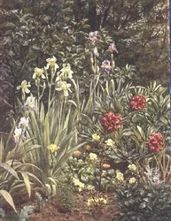 Un rincón del jardín