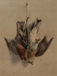 Naturaleza muerta, Alondras
