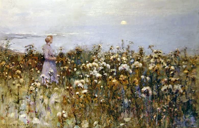 Sol de Verano