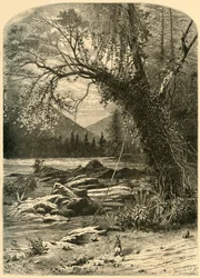 El French Broad, 1872