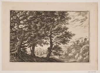 Paisaje montañoso con grandes árboles