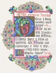 Letra iluminada D dentro de un borde decorado