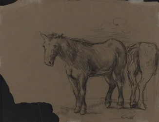 Caballos