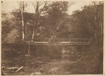 Paisaje con árboles y puente