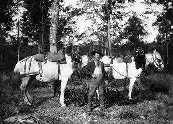 Leñador con sus caballos, en las cercanías de Bourmont en Haute-Marne. Colección Ducos.