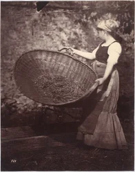 Mujer campesina con canasta de aventar