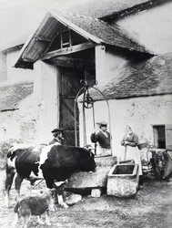 Campesinos alrededor de un pozo, en un patio de granja, c.1860-70