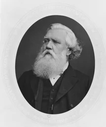 Retrato de Henry Layard, c.1880