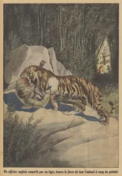 Un oficial británico, llevado por un tigre, encuentra la fuerza para matar al animal con su pistola
