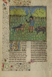 Un cazador entrenando perros para responder al llamado de un cuerno, c.1430-40