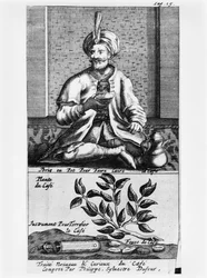 Una olla para hacer café, ilustración de Traité Nouveau et Curieux du Café, du Thé et du Chocolat por Philippe Sylvestre Dufour, La Haya, publicada en 1693